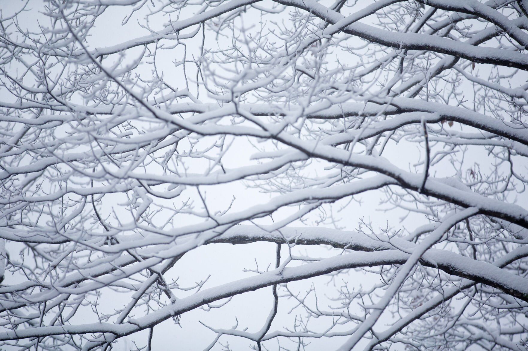 Roanoke Winter Weather